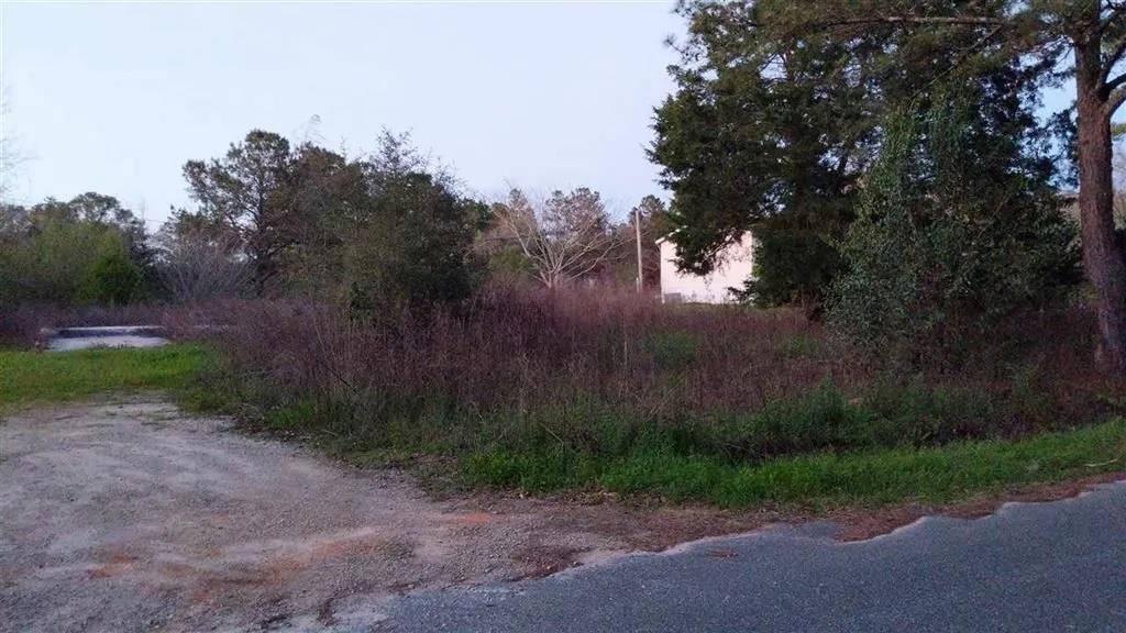 486 David Clemons Road Quincy, FL 32352 - Photo 2 of 8 Gallery Image 2