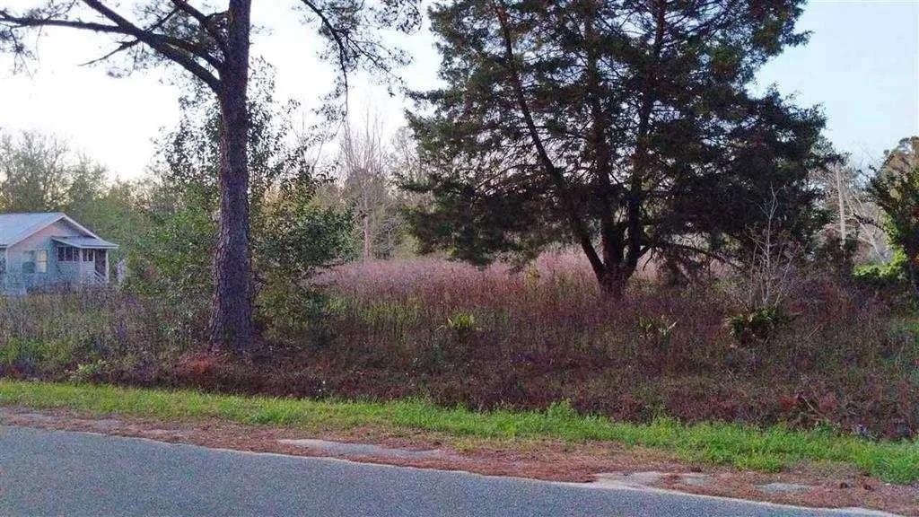 486 David Clemons Road Quincy, FL 32352 - Photo 3 of 8 Gallery Image 3