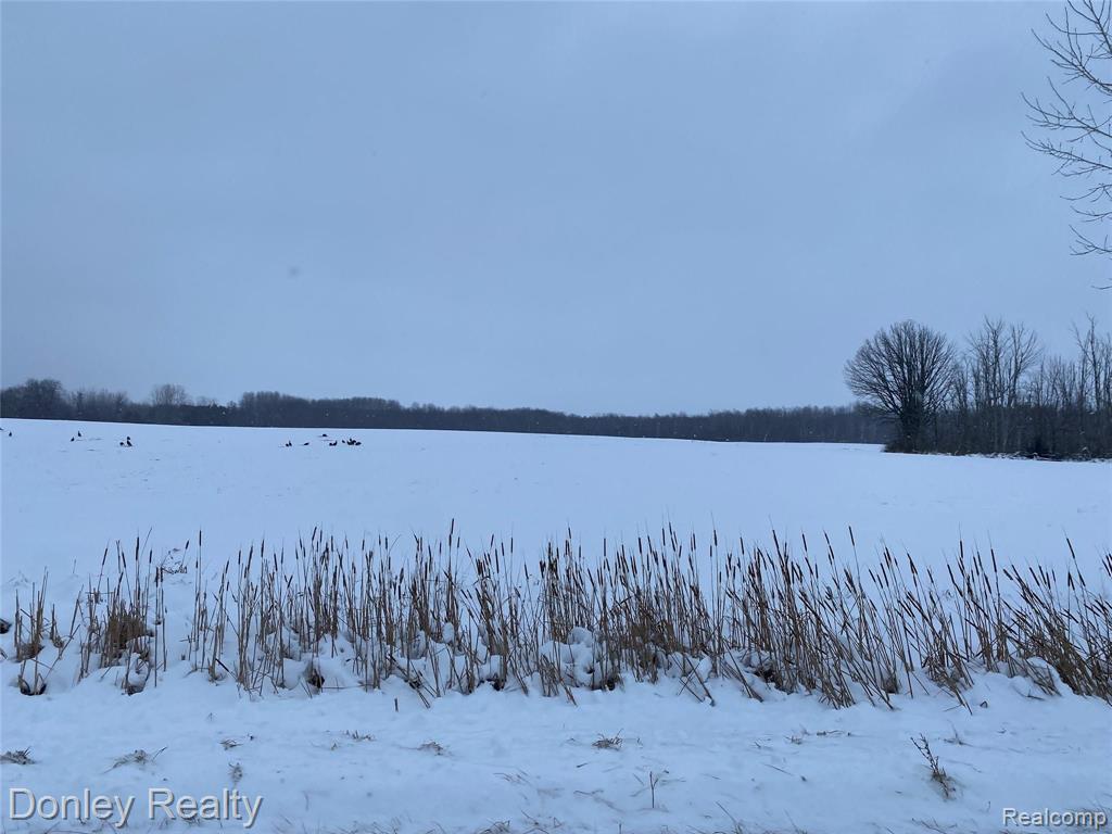8978 Slattery Road Marlette, MI 48453 - Photo 1 of 4 Gallery Image 1