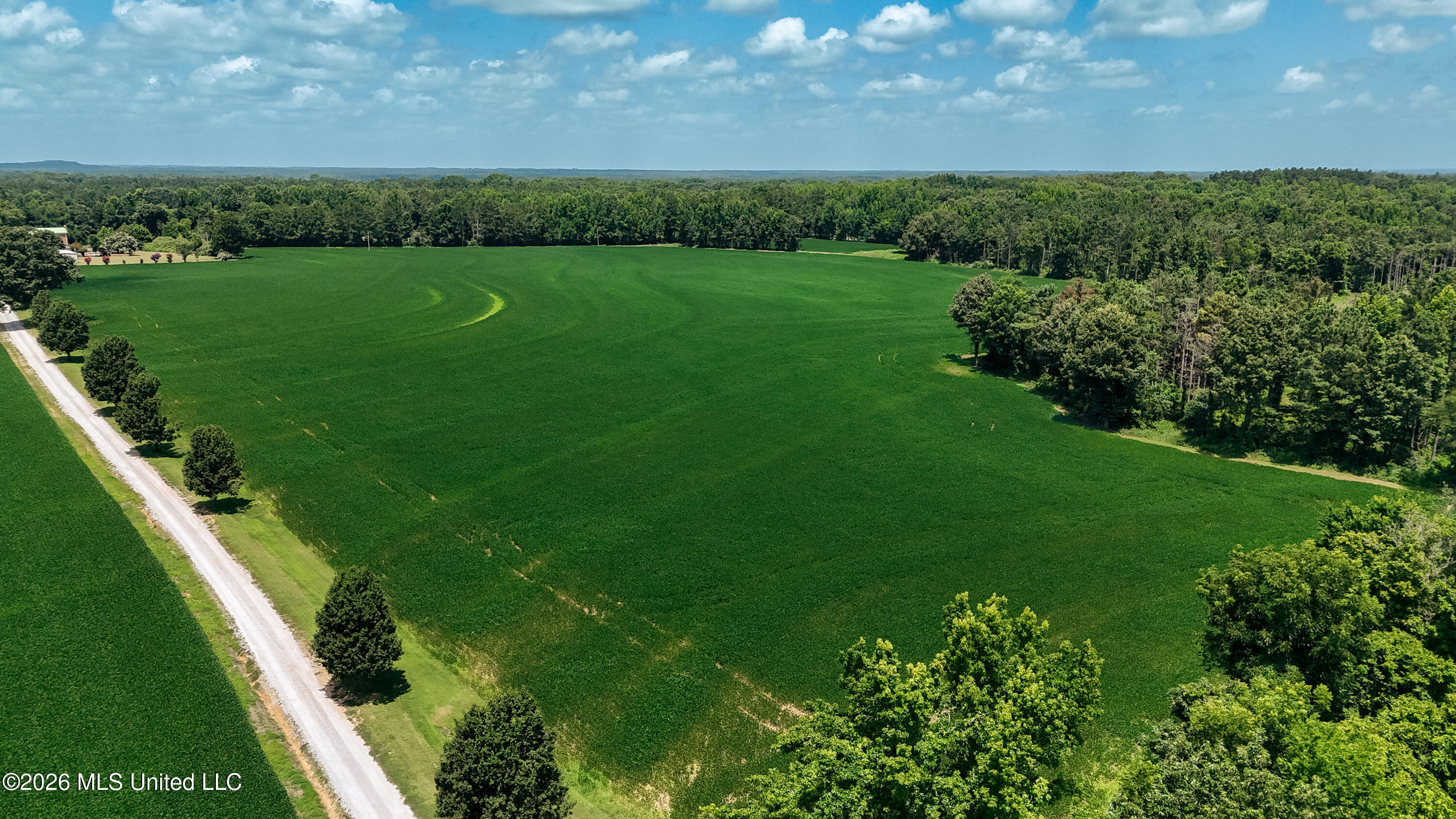 828 Little Egypt Road Ashland, MS 38603 - Photo 56 of 101 DJI_20260630115521_0322_D