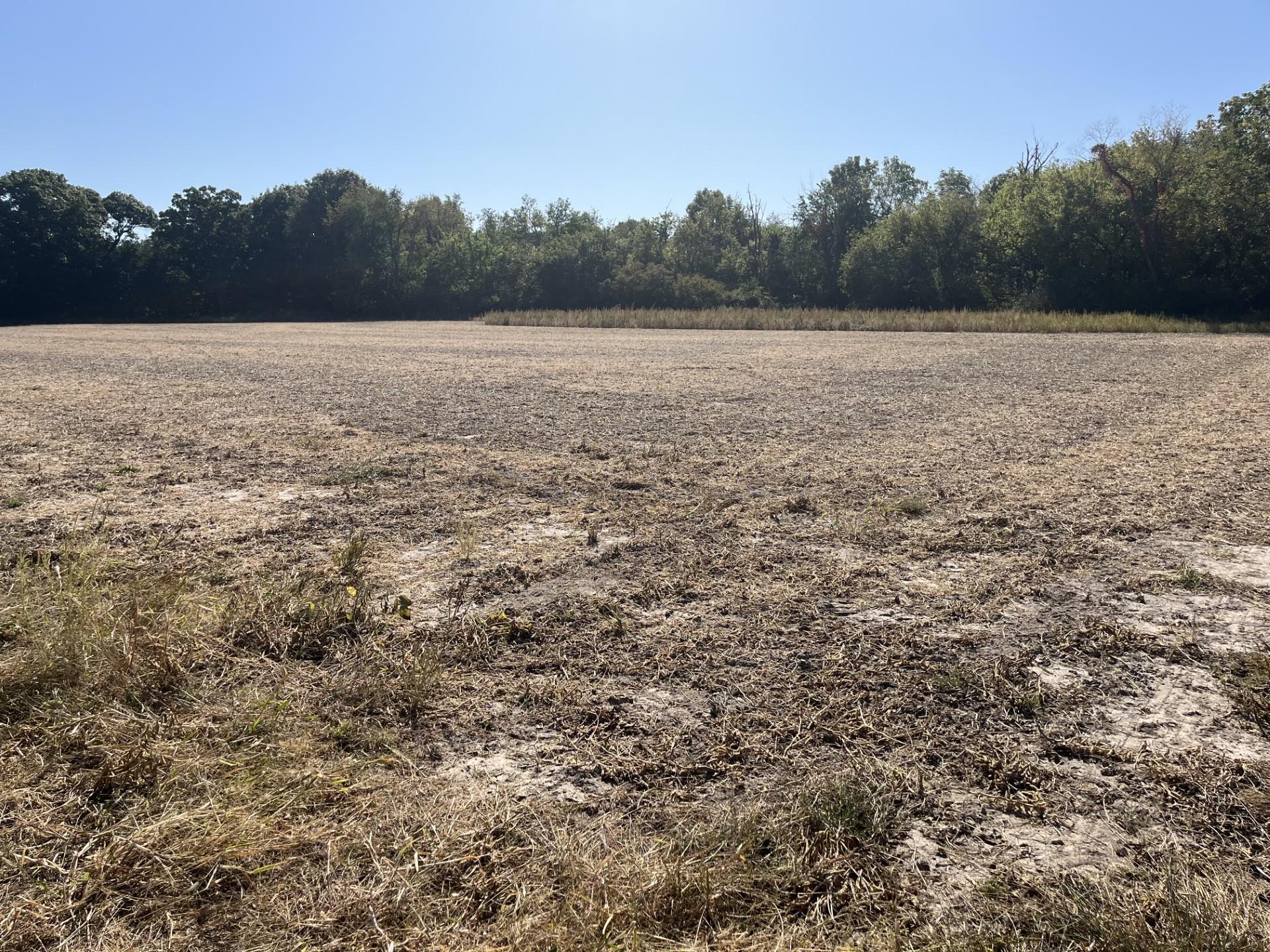 a view of an outdoor space and a yard