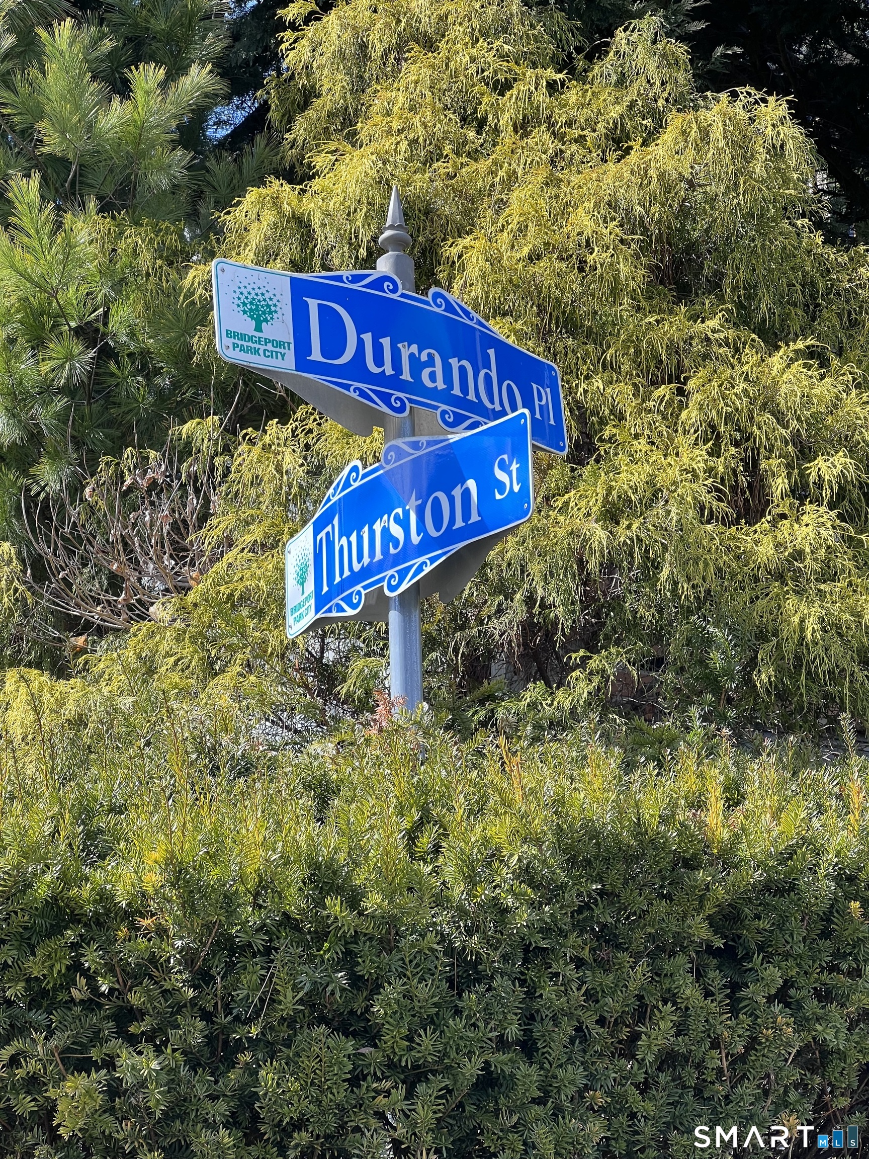 5 Durando Place Bridgeport, CT 06605 - Photo 27 of 27