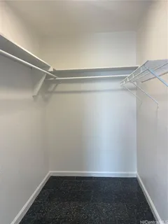 a view of an empty walk in closet