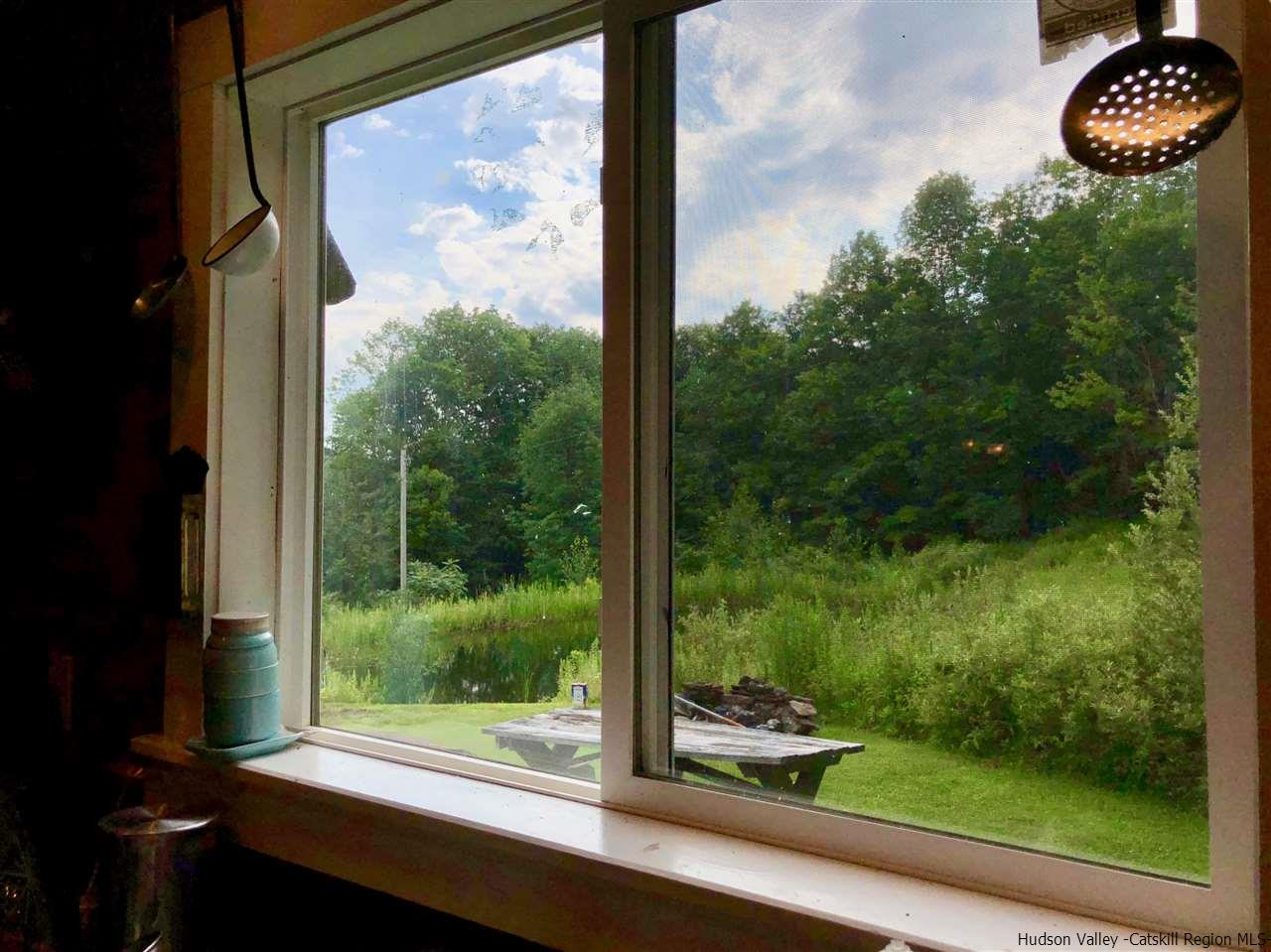 1265 Schuman Road Roxbury, NY 12474 - Photo 5 of 12 a view of a back yard from a window