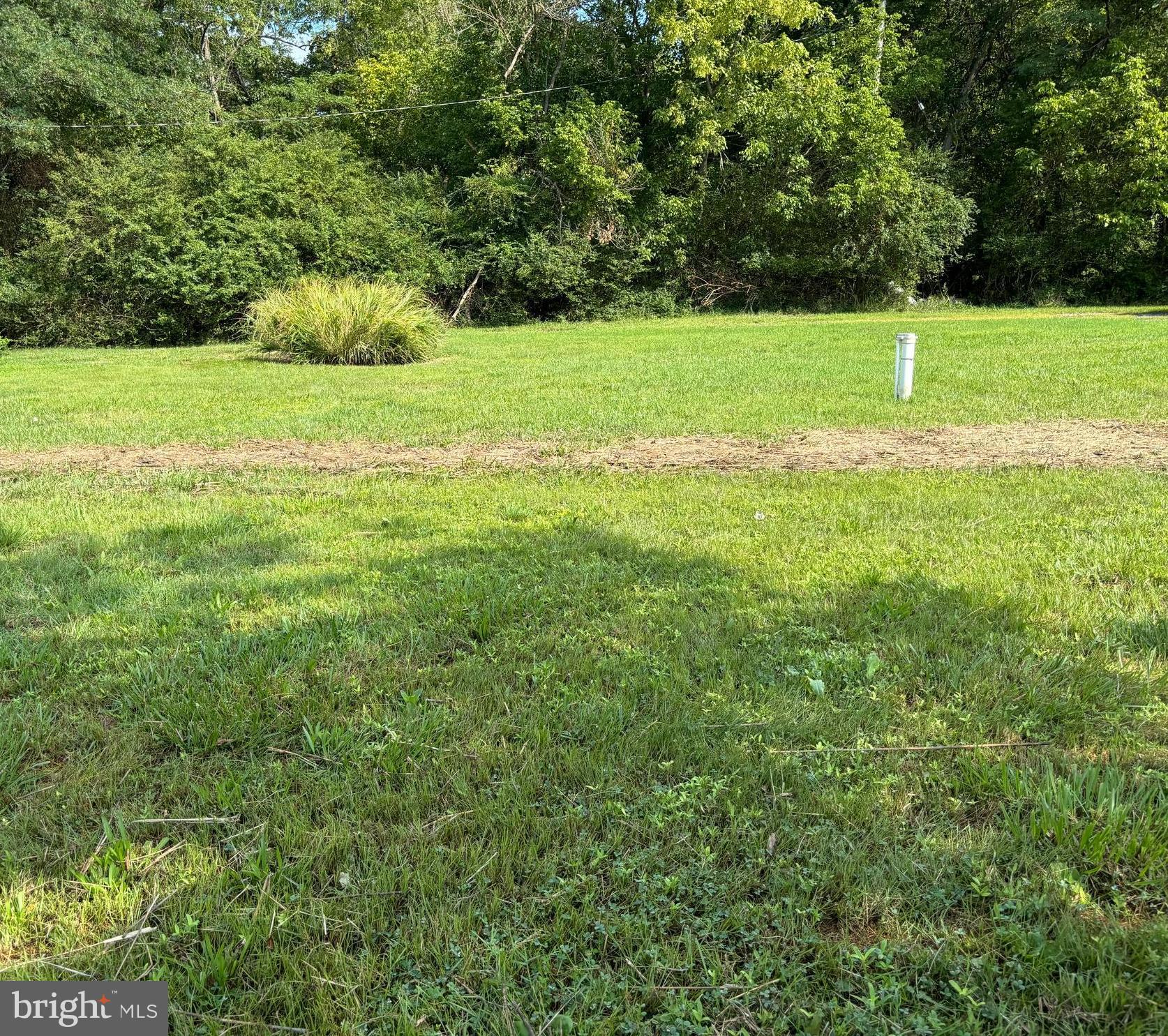 1337 West River Road Shady Side, MD 20764 - Photo 8 of 10 Gallery Image 8