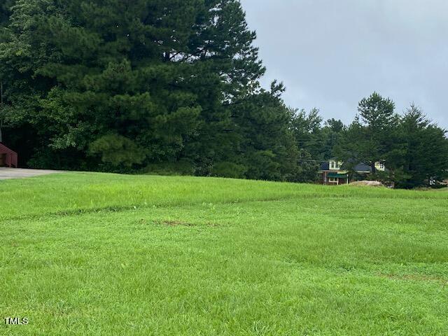 2 Hurdle Mills Road Roxboro, NC 27573 - Photo 2 of 4 IMG_8453 (1)