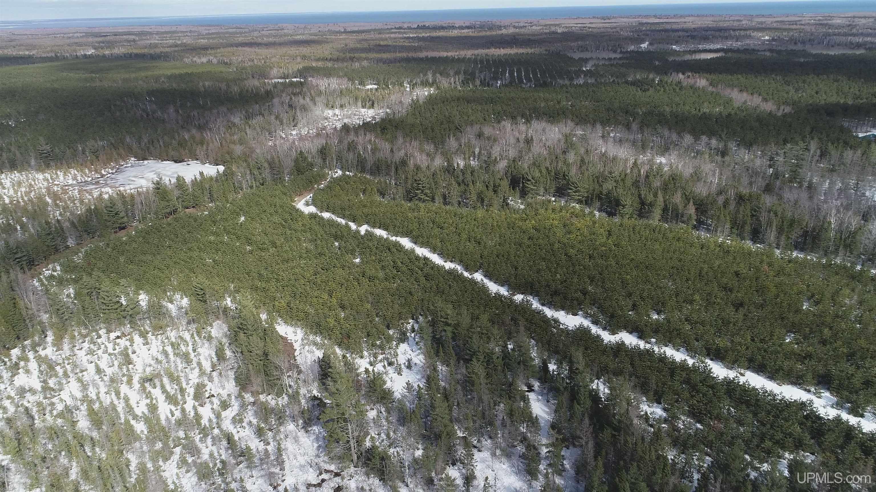 40-acres Off Flodin Road Manistique, MI 49854 - Photo 2 of 23