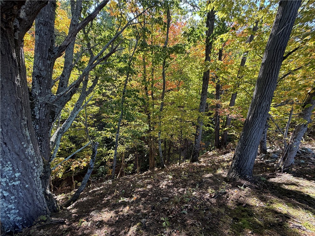 0 Sisson Road Penn Yan, NY 14527 - Photo 13 of 15