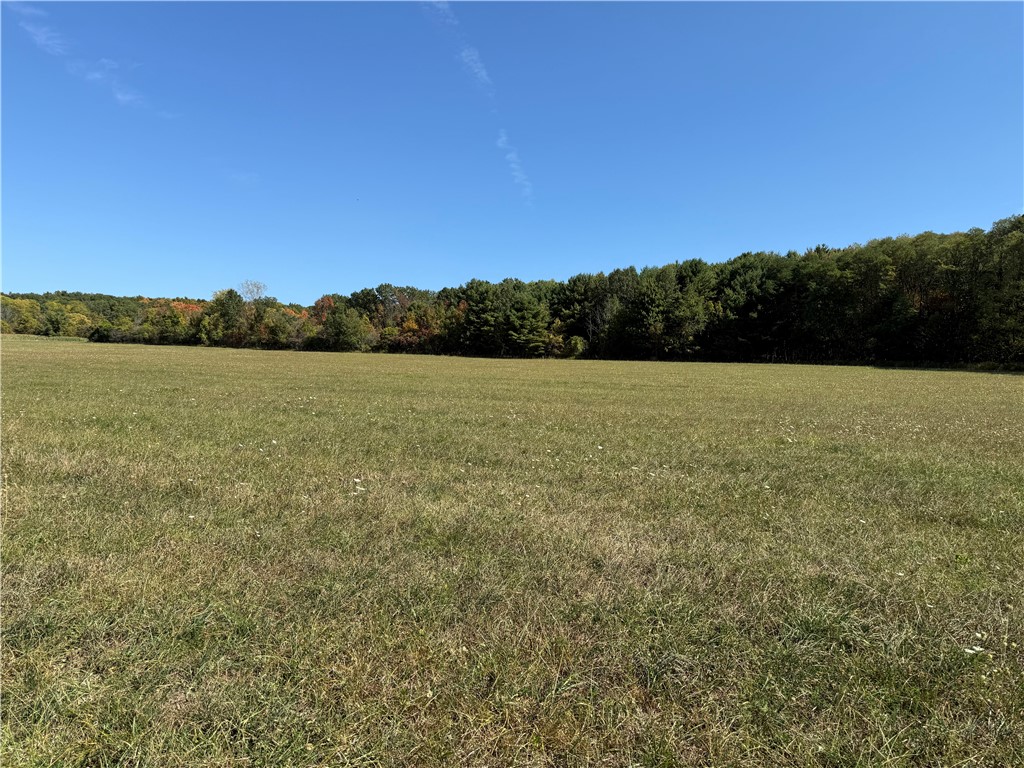 0 Sisson Road Penn Yan, NY 14527 - Photo 10 of 15