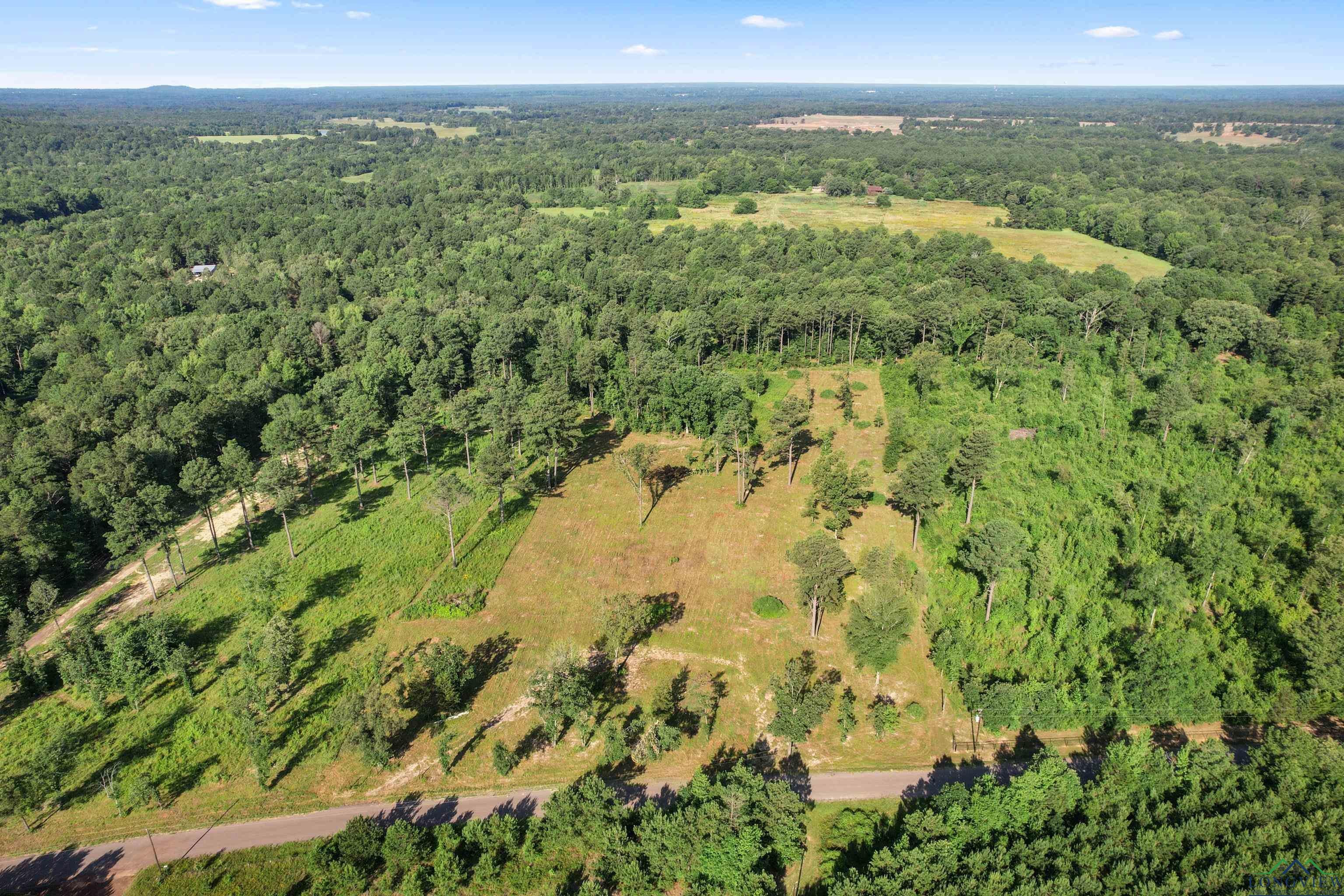 7355 Clematis Road Gilmer, TX 75644 - Photo 9 of 9 Gallery Image 9