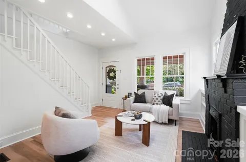 a living room with furniture potted plant and a fireplace