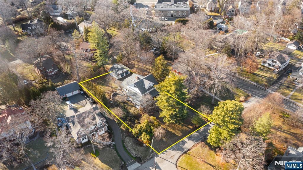 12 Midwood Road Glen Rock, NJ 07452 - Photo 30 of 30 a picture of tree