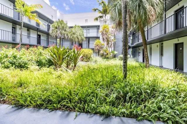 a view of a garden with plants