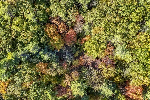 $125,000 | Lot 55 South Birchwood Lane, Winthrop, ME 04364