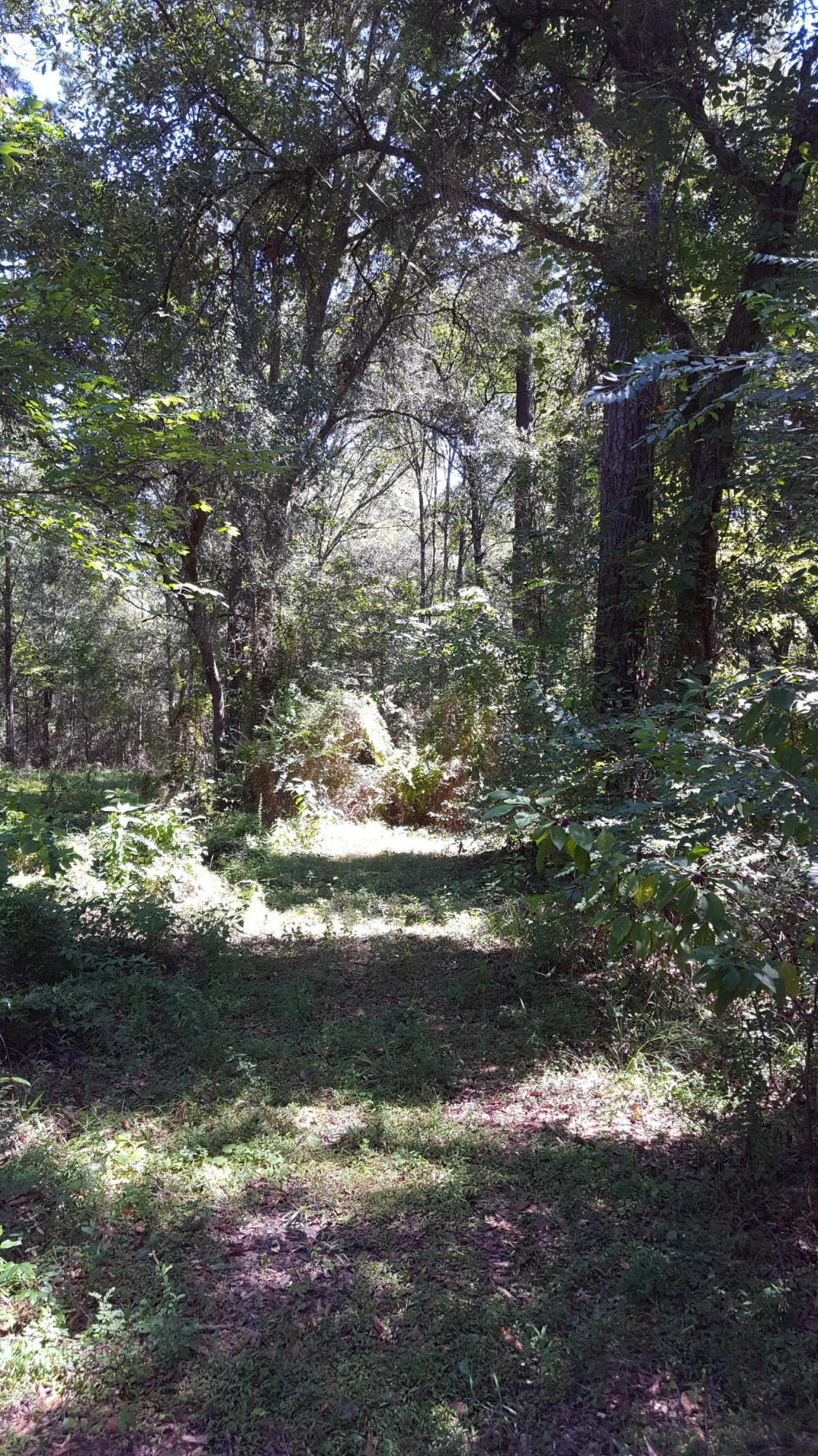 20170911_121548