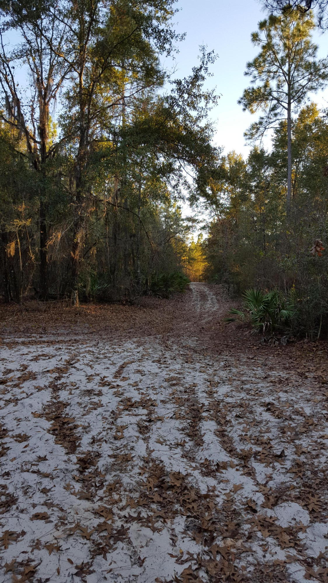 20171212_160225