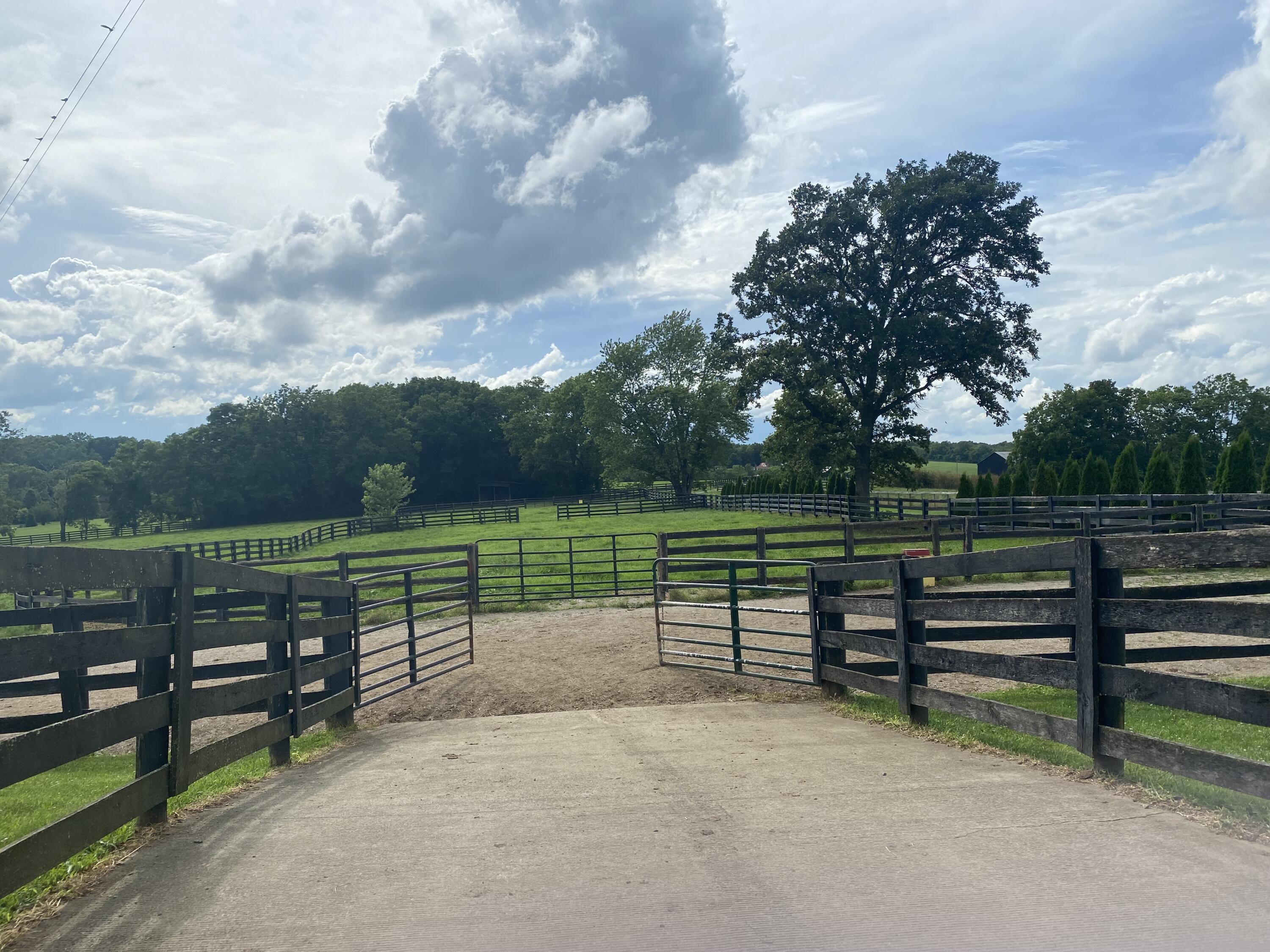 602 Ardery Road Paris, KY 40361 - Photo 27 of 36 IMG_3354