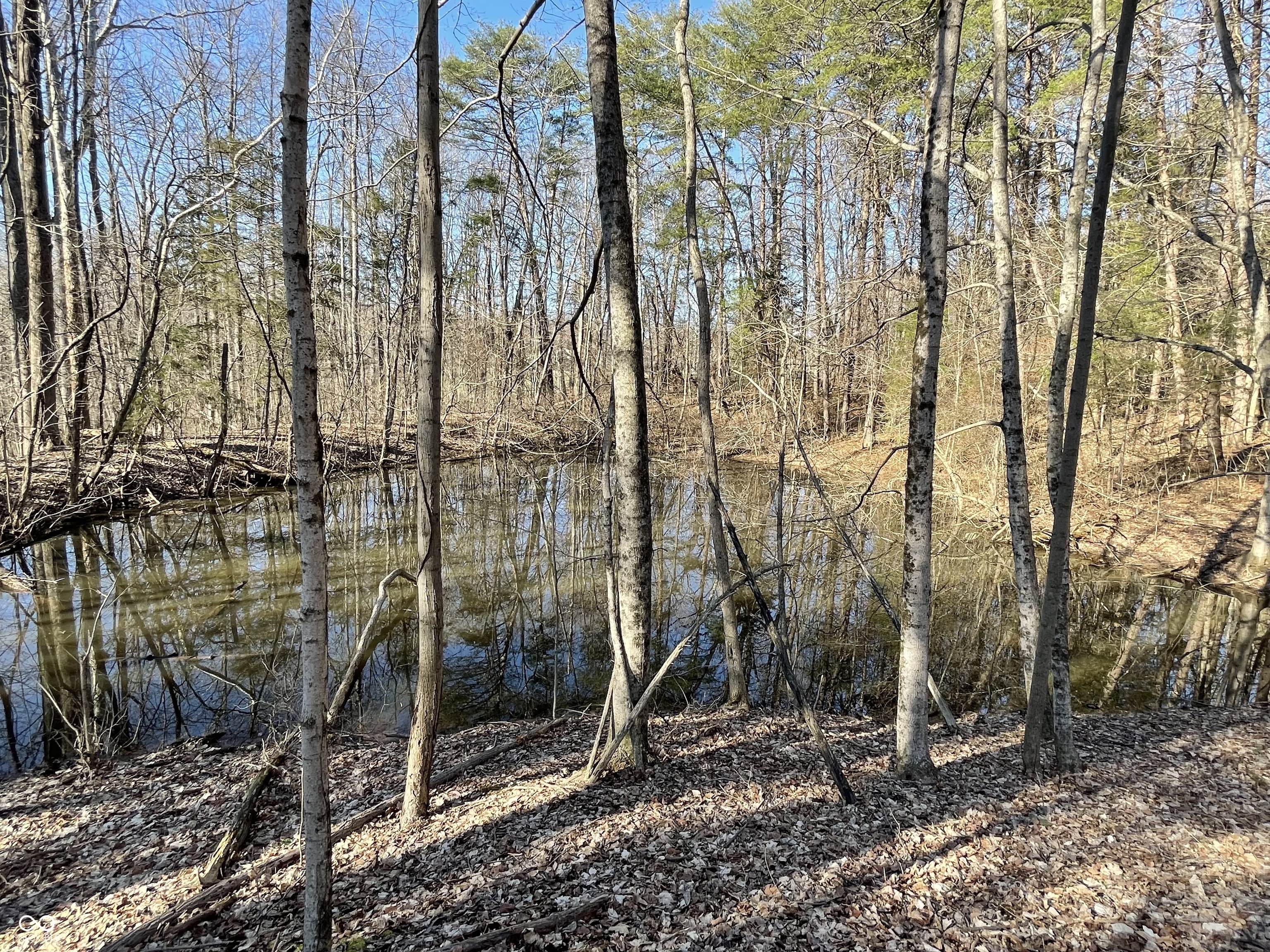 7899 North Briarhopper Road Monrovia, IN 46157 - Photo 47 of 61