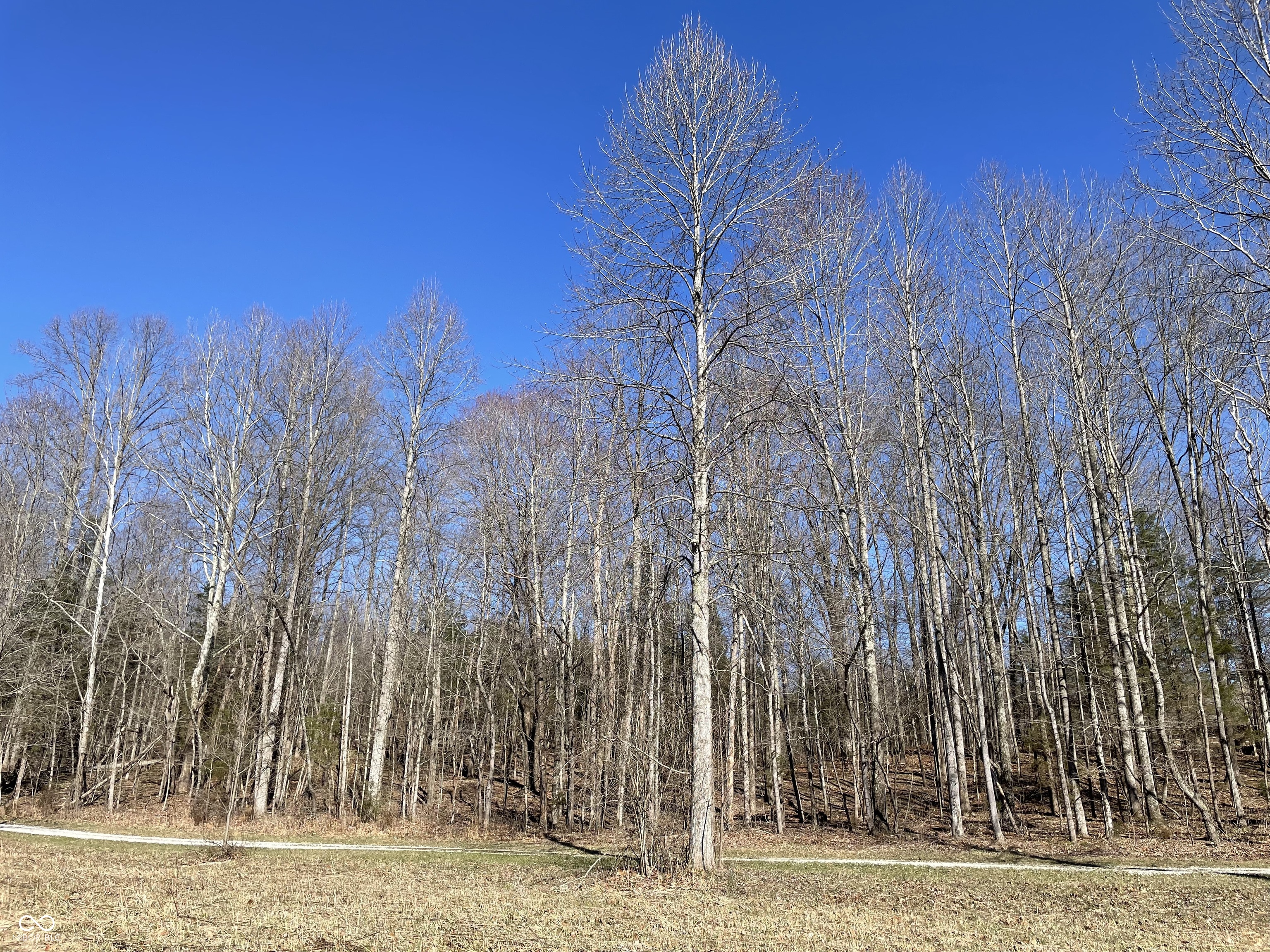 7899 North Briarhopper Road Monrovia, IN 46157 - Photo 49 of 61