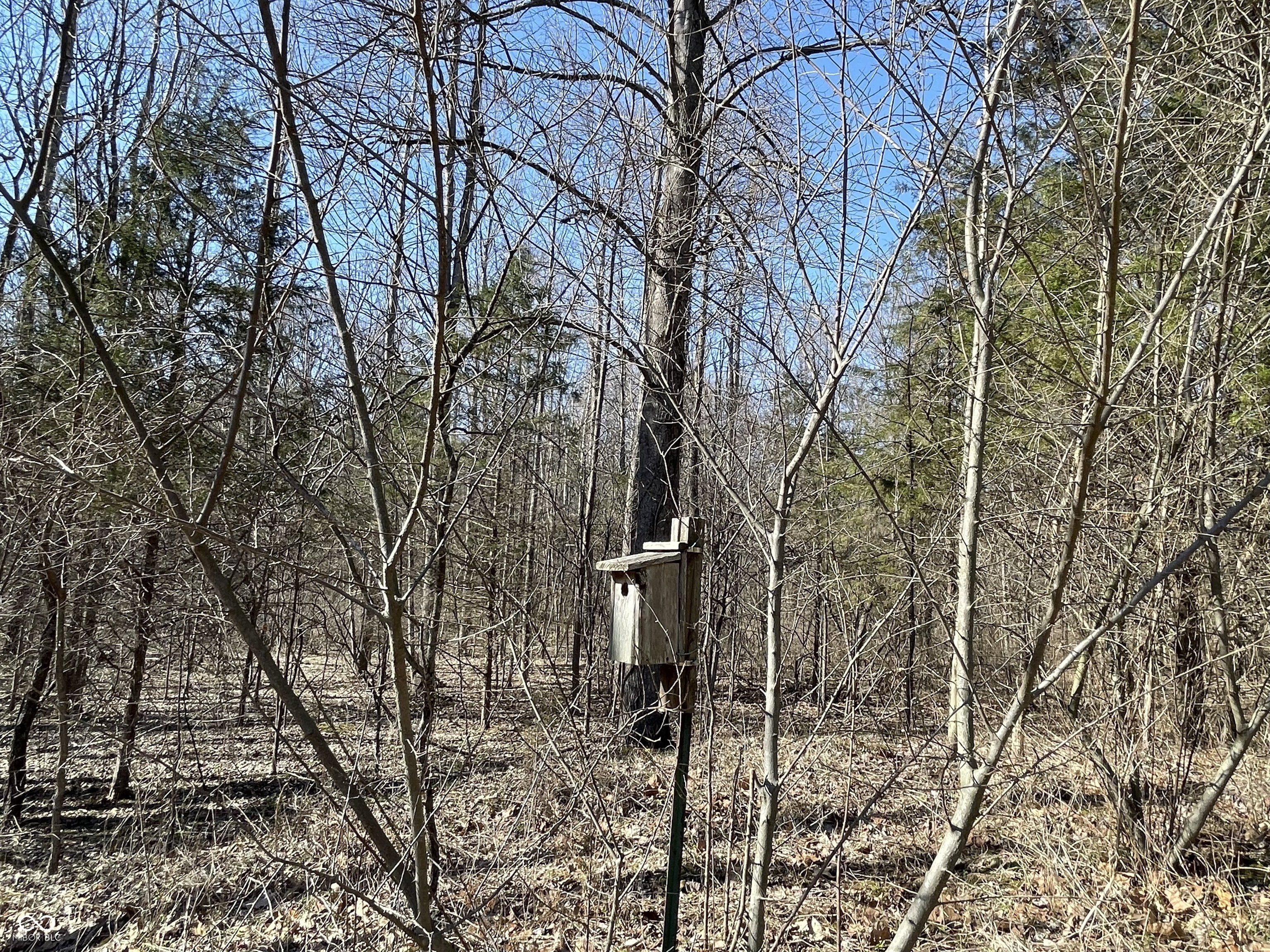 7899 North Briarhopper Road Monrovia, IN 46157 - Photo 51 of 61