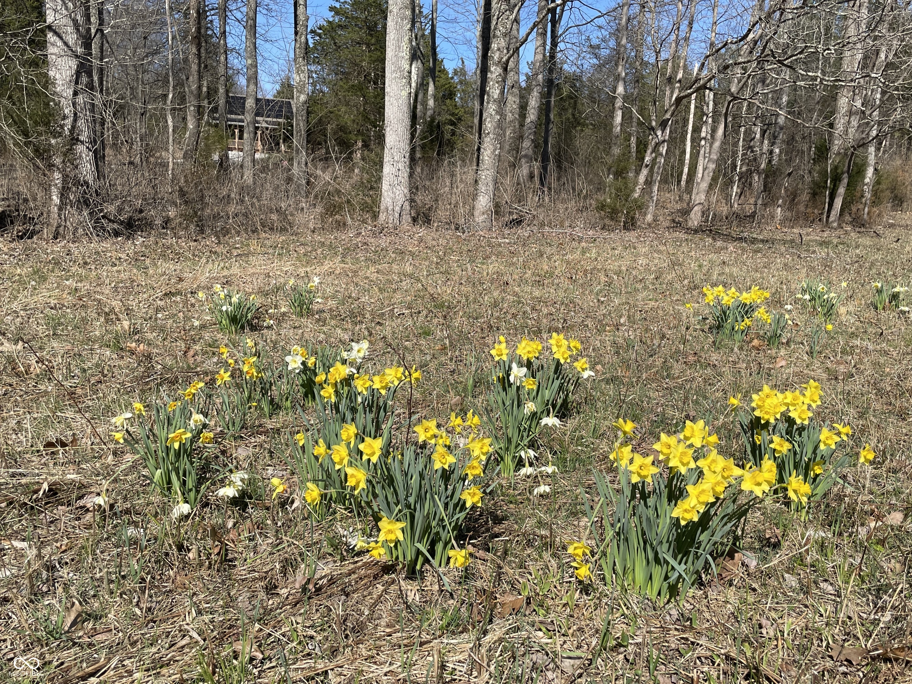 7899 North Briarhopper Road Monrovia, IN 46157 - Photo 52 of 61