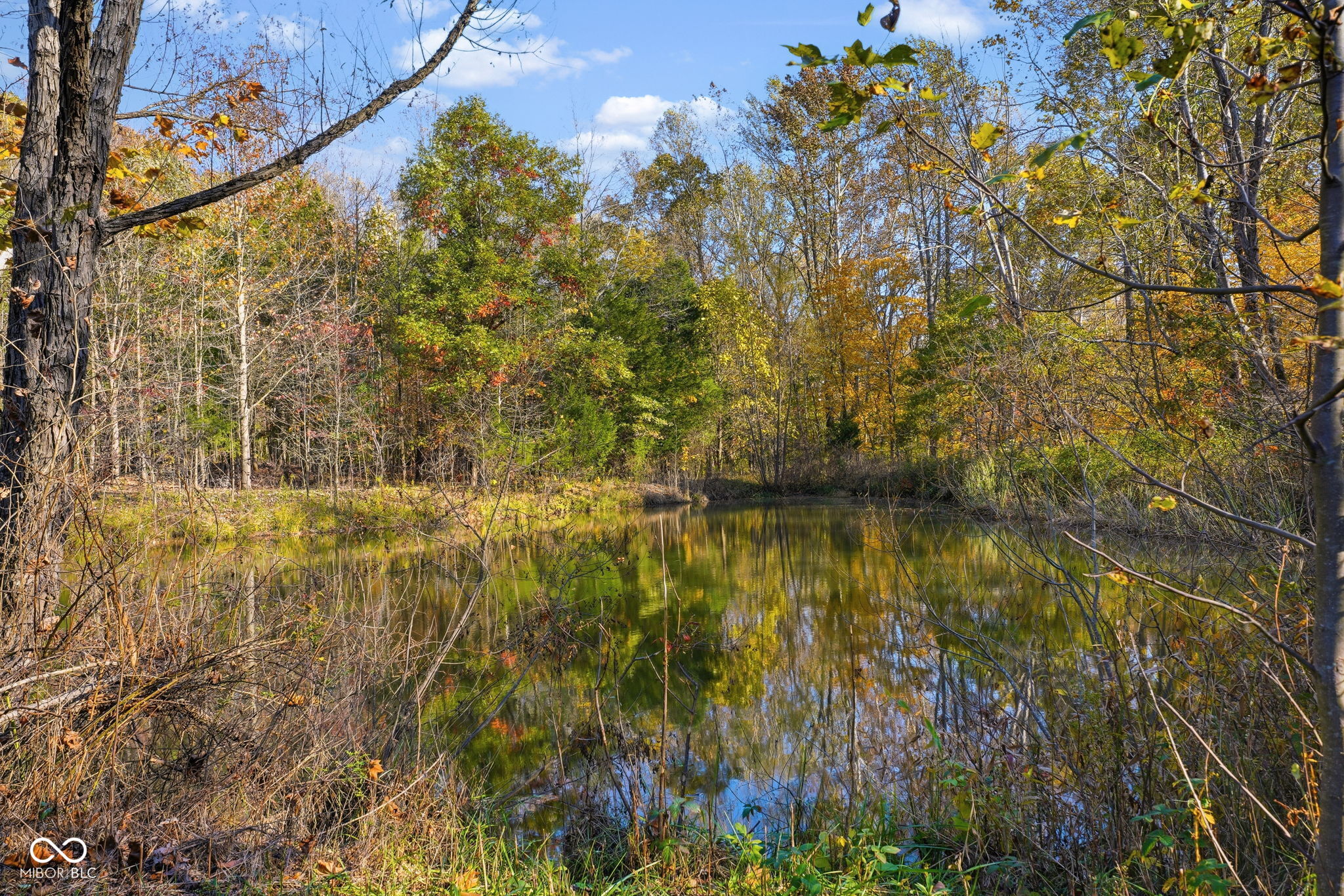 7899 North Briarhopper Road Monrovia, IN 46157 - Photo 53 of 61