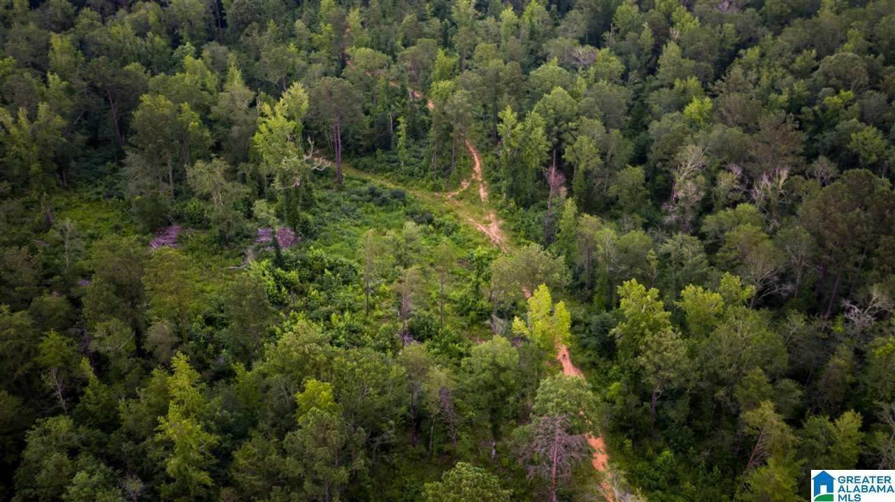 180 Gibson Road, Unit 76 / ACRES OFF GIBSON R Columbiana, AL 35051 - Photo 45 of 50