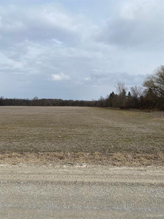 2 Howland Road Almont, MI 48003 - Photo 20 of 24