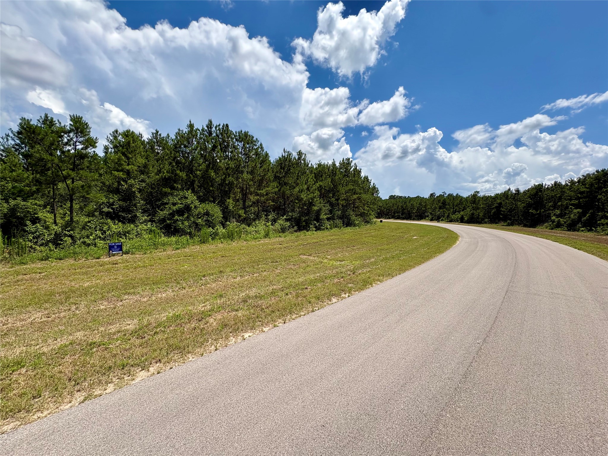 16270 Ridge Oak Road Willis, TX 77378 - Photo 3 of 9