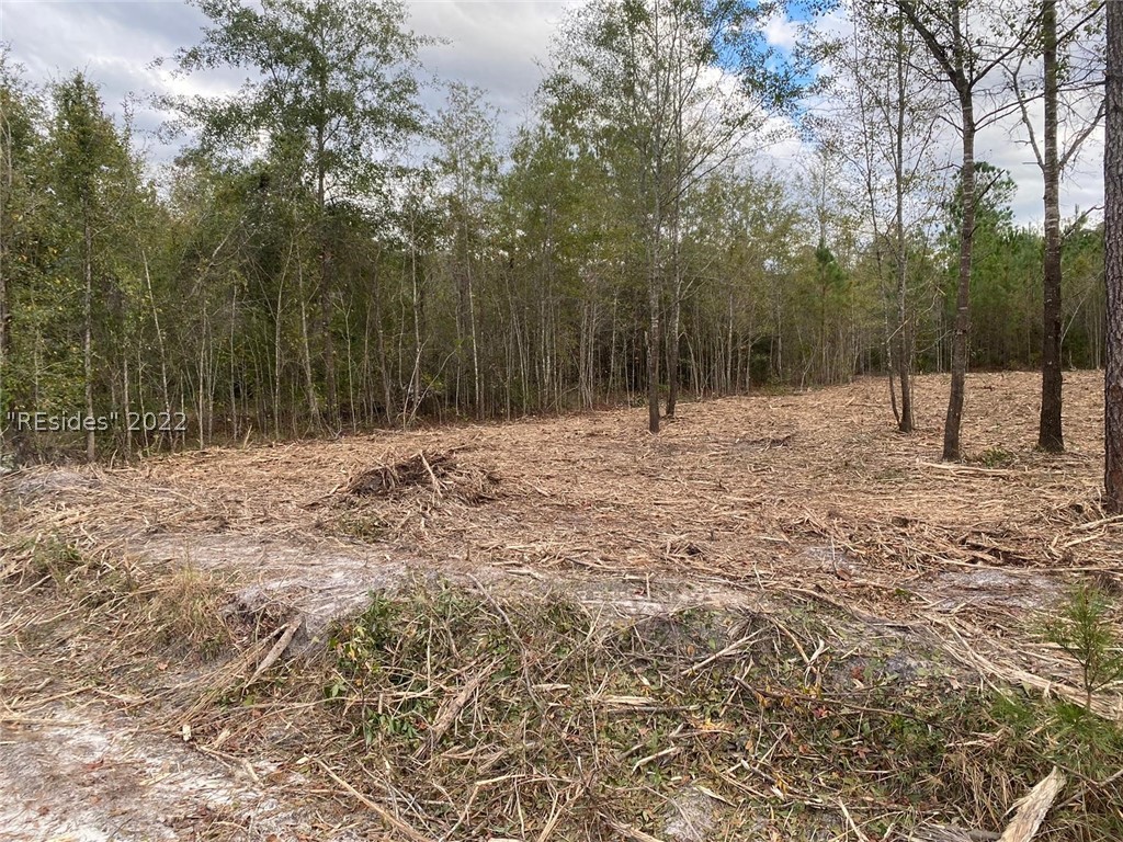 Zig Zag Branch Road Pineland, SC 29934 - Photo 1 of 1 Gallery Image 1
