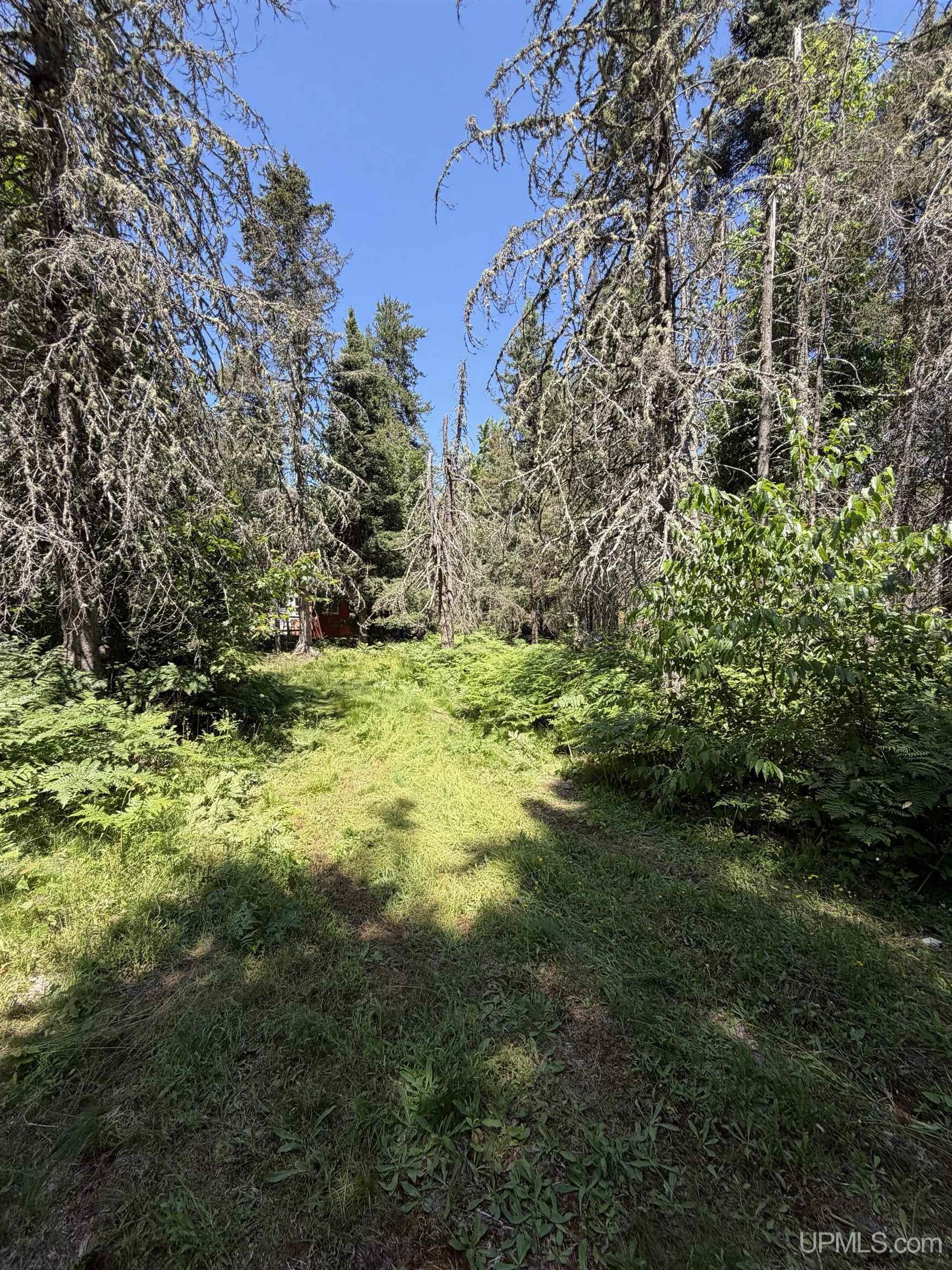 Tbd Red Road Negaunee, MI 49866 - Photo 8 of 29