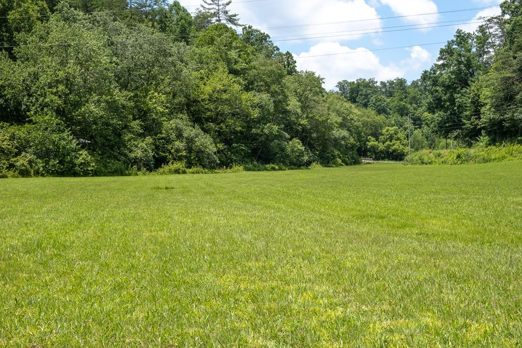 3935 Wehutty Road Murphy, NC 28906 - Photo 62 of 74