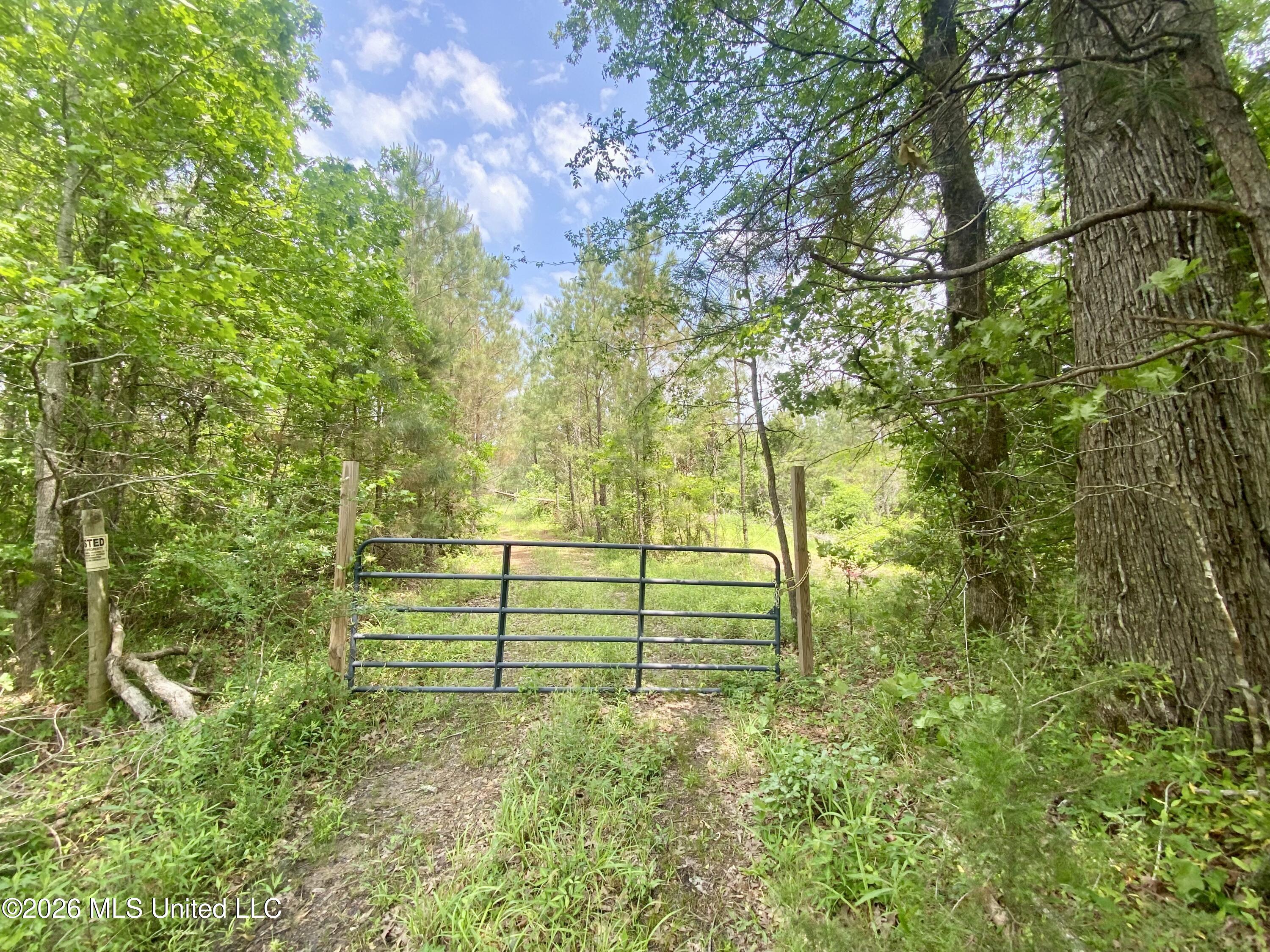 0 Henry Harris Road Utica, MS 39175 - Photo 2 of 10 IMG_5700