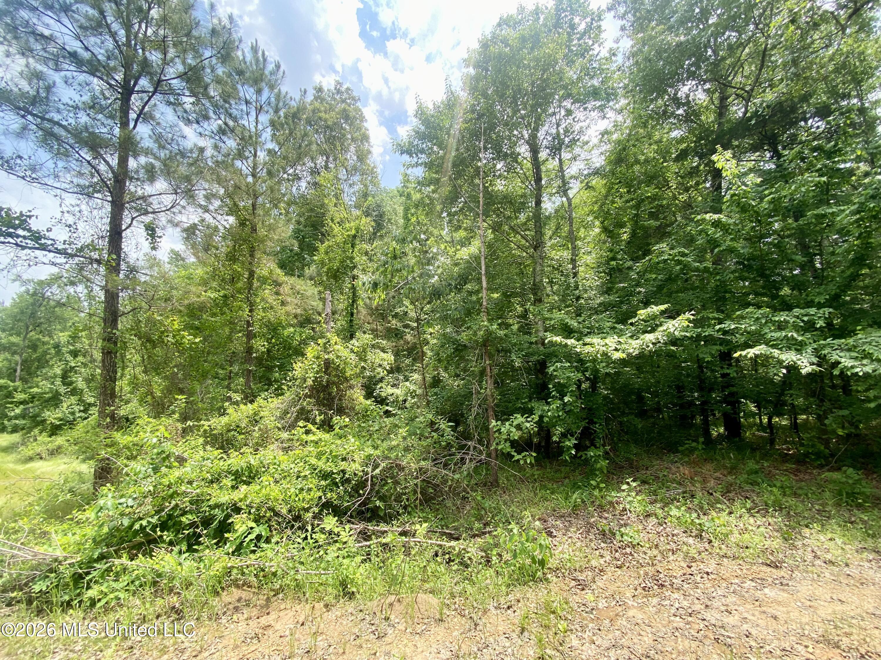 0 Henry Harris Road Utica, MS 39175 - Photo 6 of 10 IMG_5707