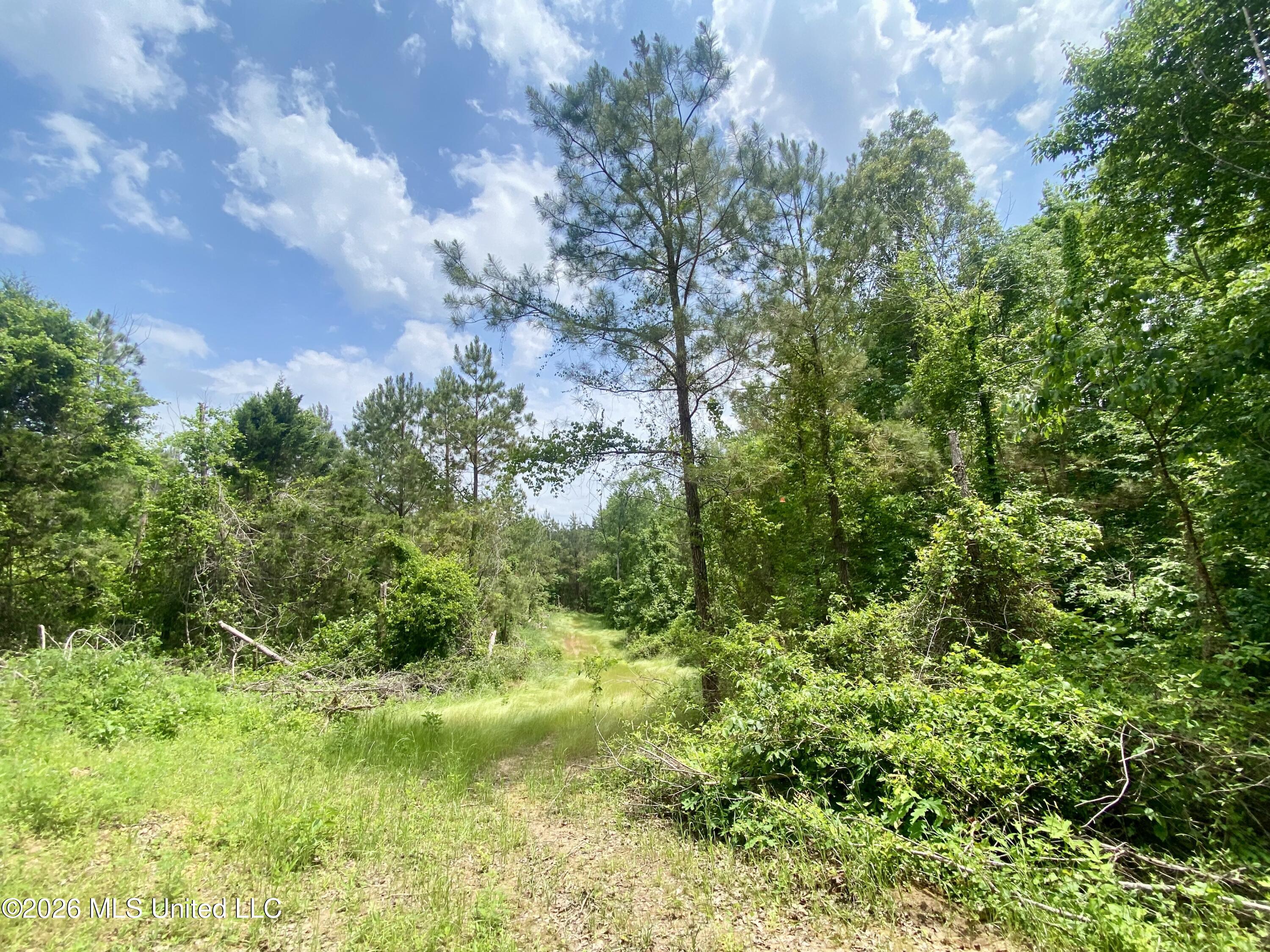 0 Henry Harris Road Utica, MS 39175 - Photo 7 of 10 IMG_5705
