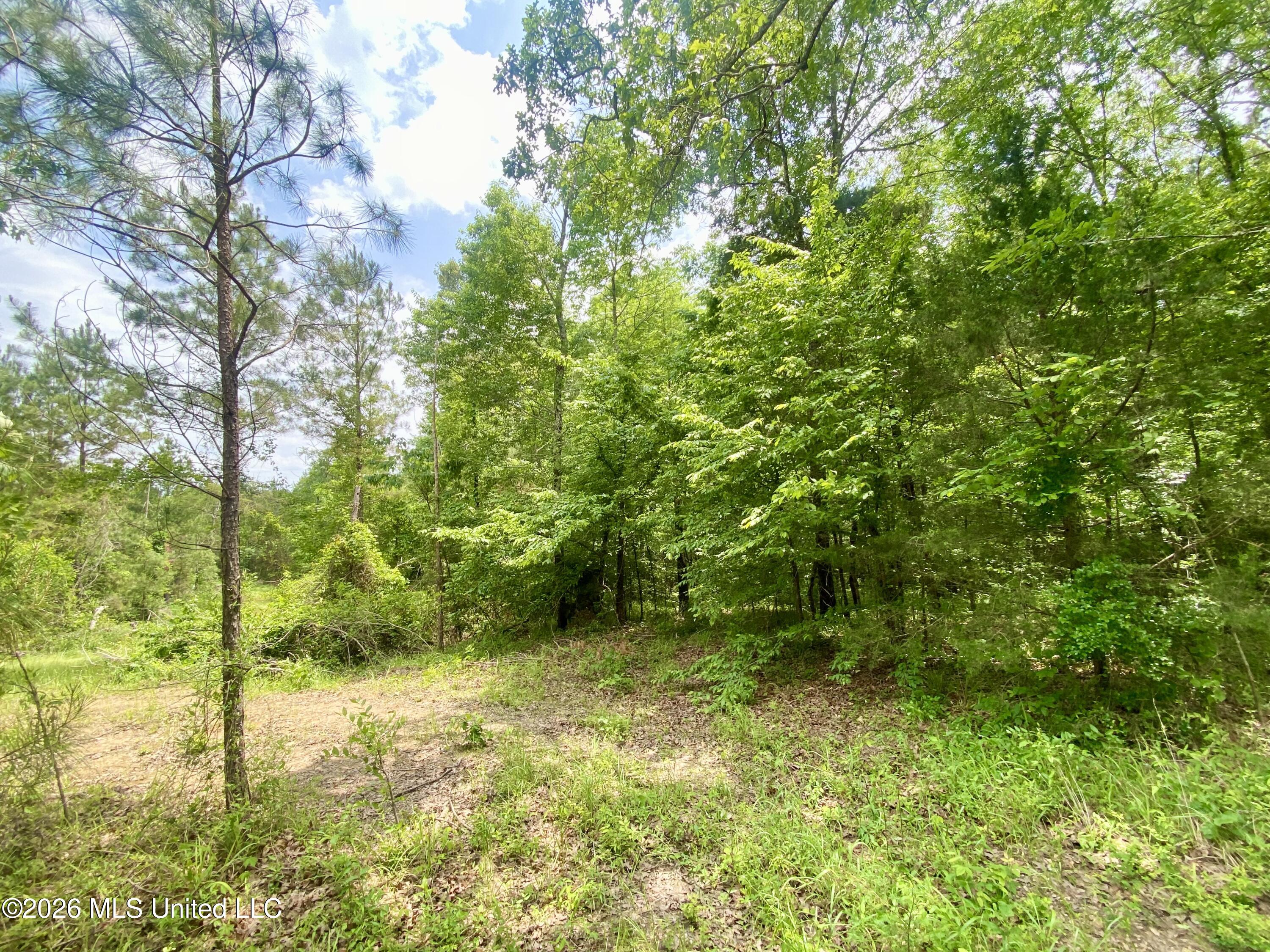 0 Henry Harris Road Utica, MS 39175 - Photo 9 of 10 IMG_5702