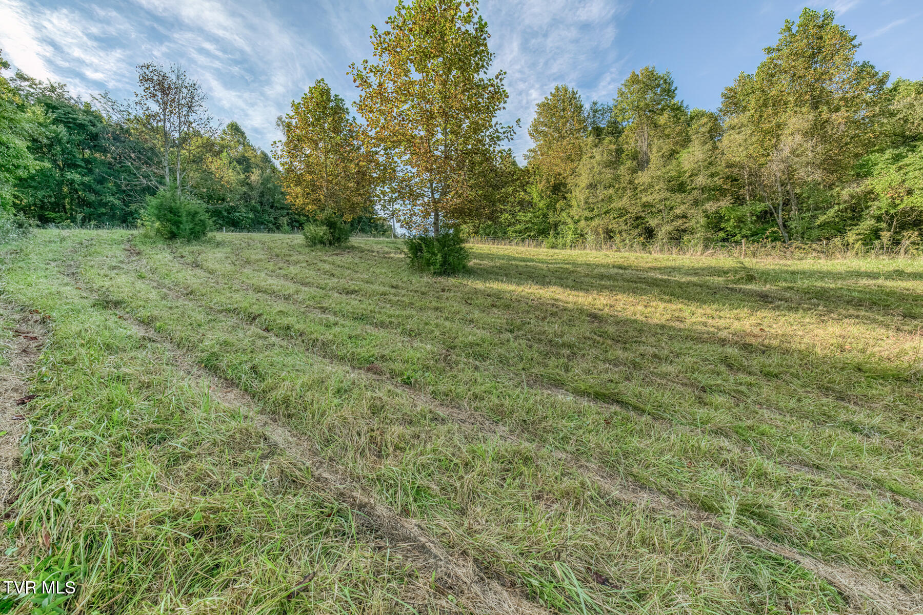 1680 Old Milburnton Road Limestone, TN 37681 - Photo 36 of 62 1680 Old Milburnton Rd-39