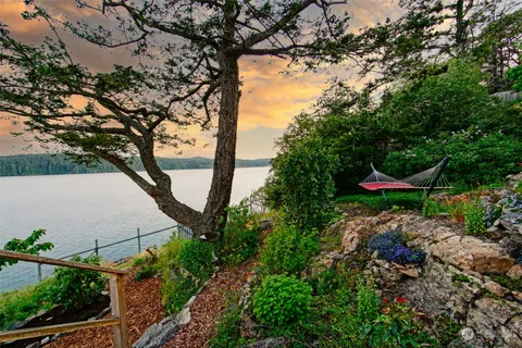 a house that has tree in front of it
