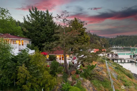 a backyard of a house with plants and tree