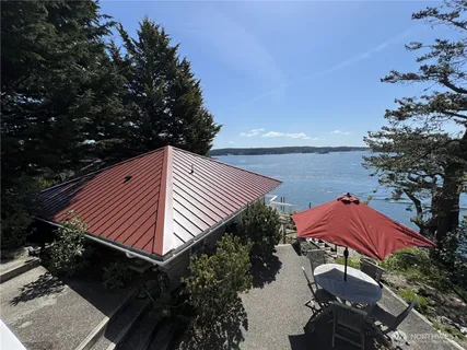 a view of a backyard with plants and a patio