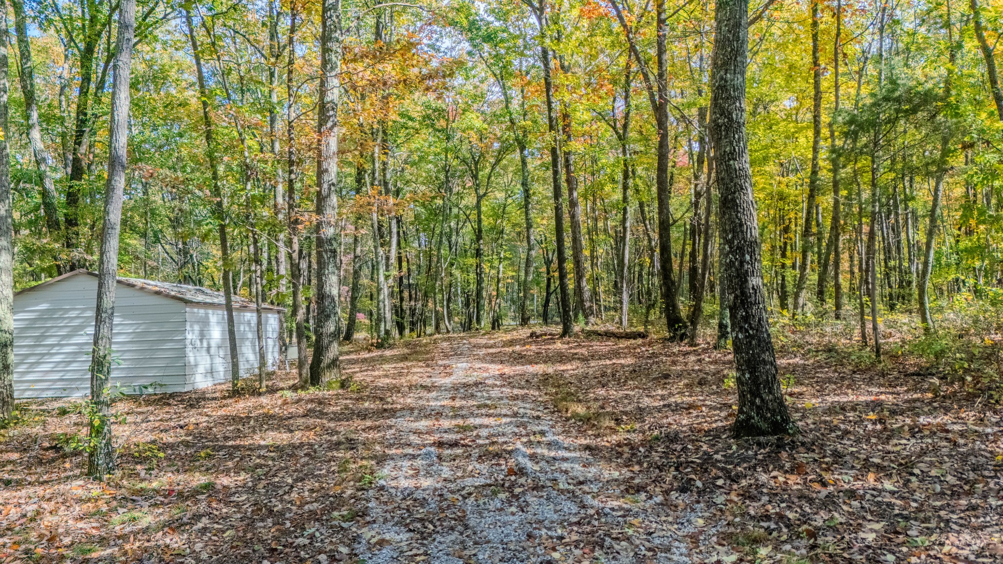 0 Valley View Drive Altamont, TN 37301 - Photo 12 of 27 a view of a backyard with trees