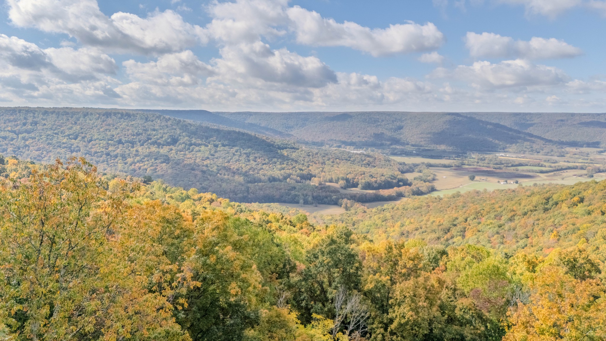 0 Valley View Drive Altamont, TN 37301 - Photo 16 of 27