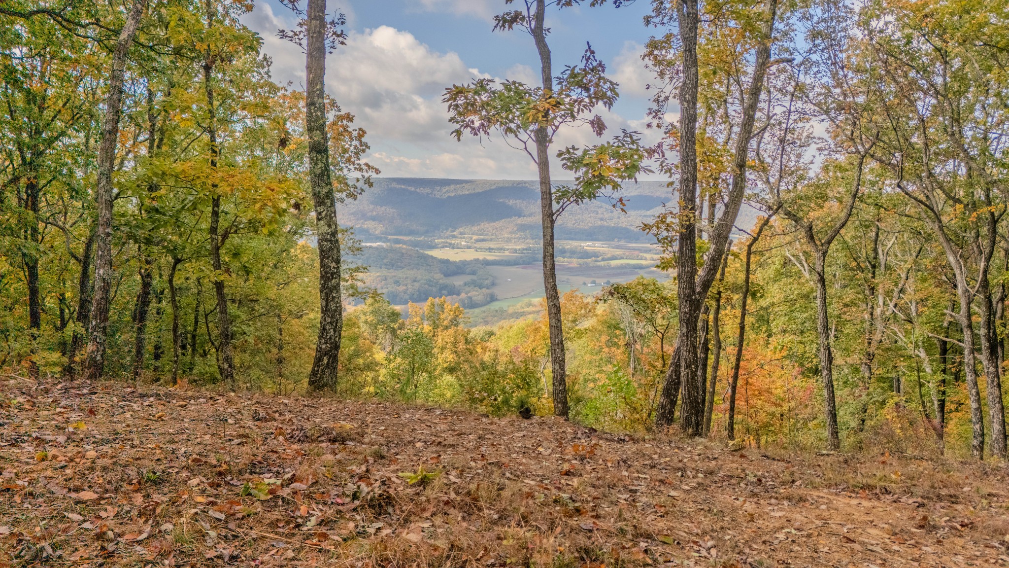 0 Valley View Drive Altamont, TN 37301 - Photo 2 of 27 a view of backyard with green space
