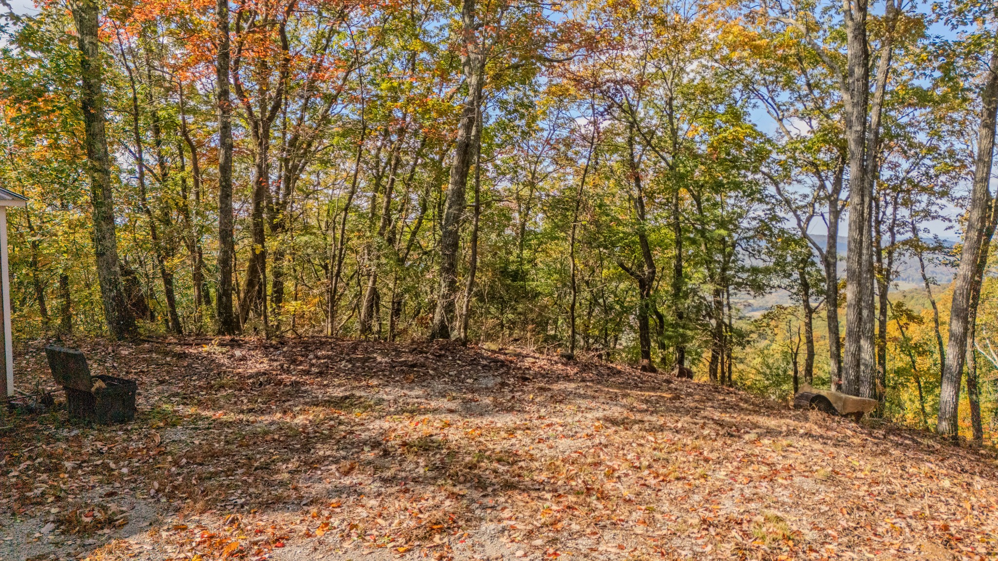 0 Valley View Drive Altamont, TN 37301 - Photo 8 of 27 a view of outdoor space with trees