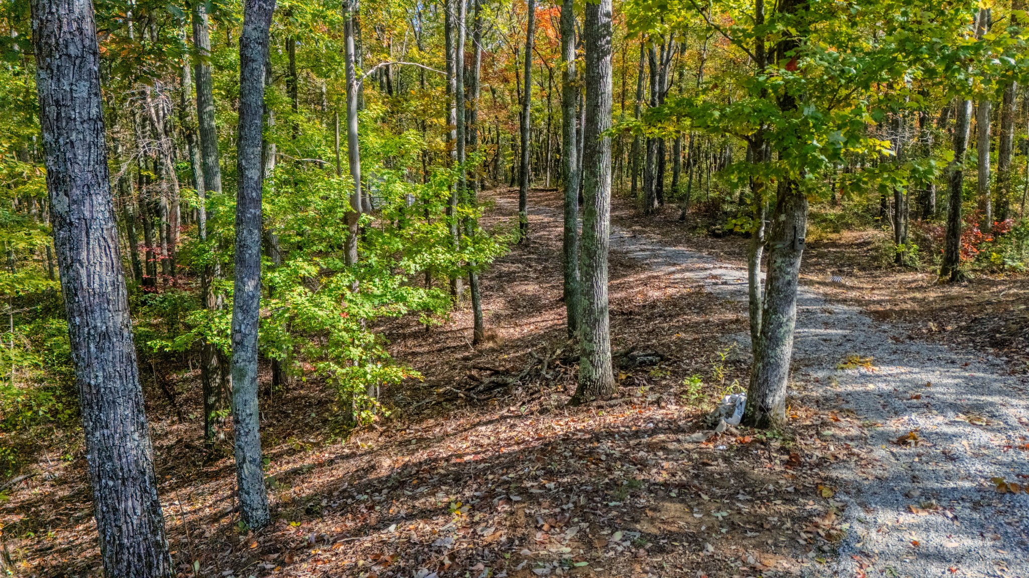 0 Valley View Drive Altamont, TN 37301 - Photo 10 of 27 a view of a garden