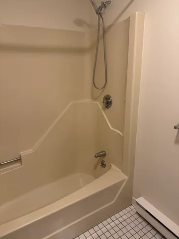 a bathroom with a bath tub and a shower