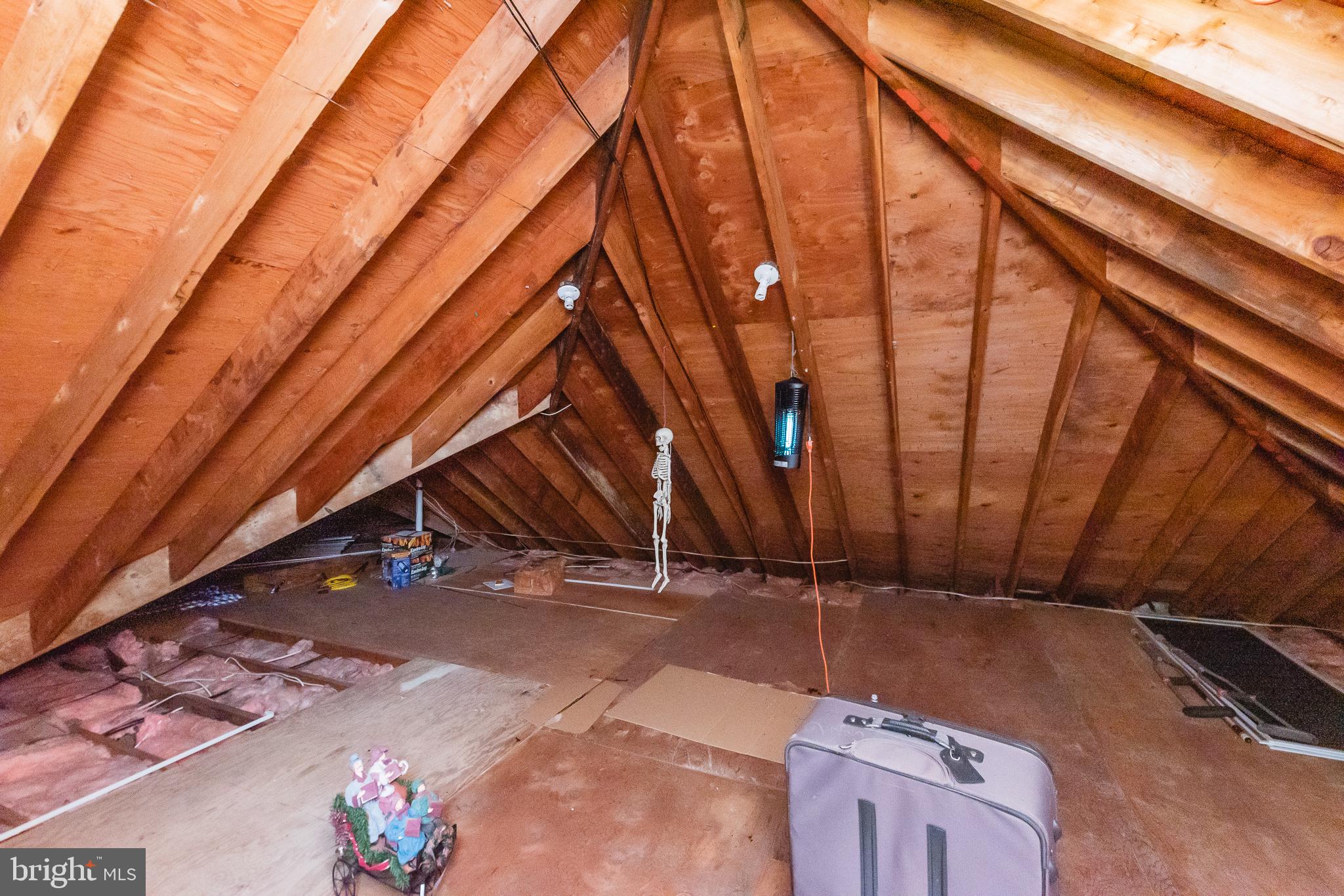 3602 Golden Eagle Road Phoenix, MD 21131 - Photo 33 of 49 ATTIC W/ STAIRS TO GARAGE