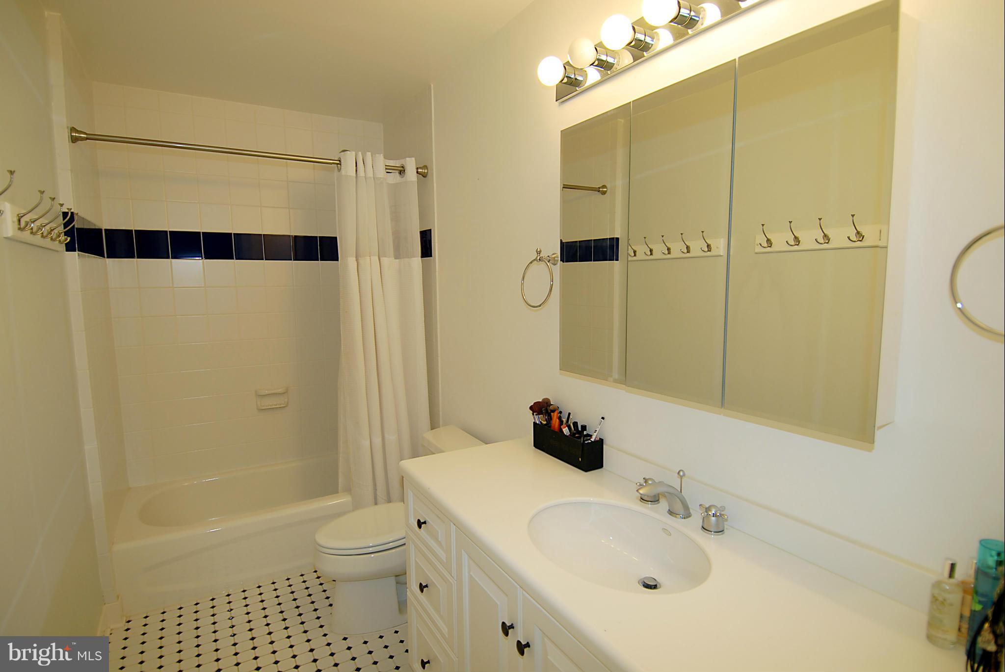 5805 Wilmett Road Bethesda, MD 20817 - Photo 17 of 30 Bath