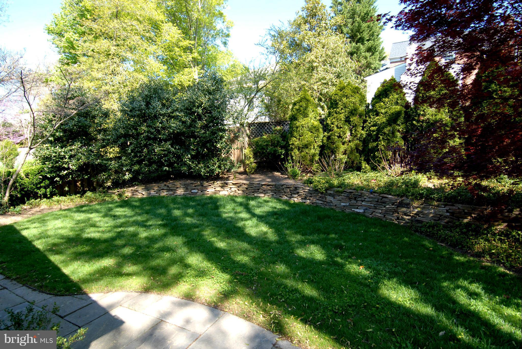 5805 Wilmett Road Bethesda, MD 20817 - Photo 28 of 30 Rear Garden