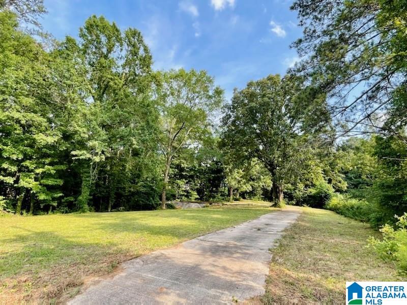 5980 Coleman Lake Road McCalla, AL 35111 - Photo 3 of 8